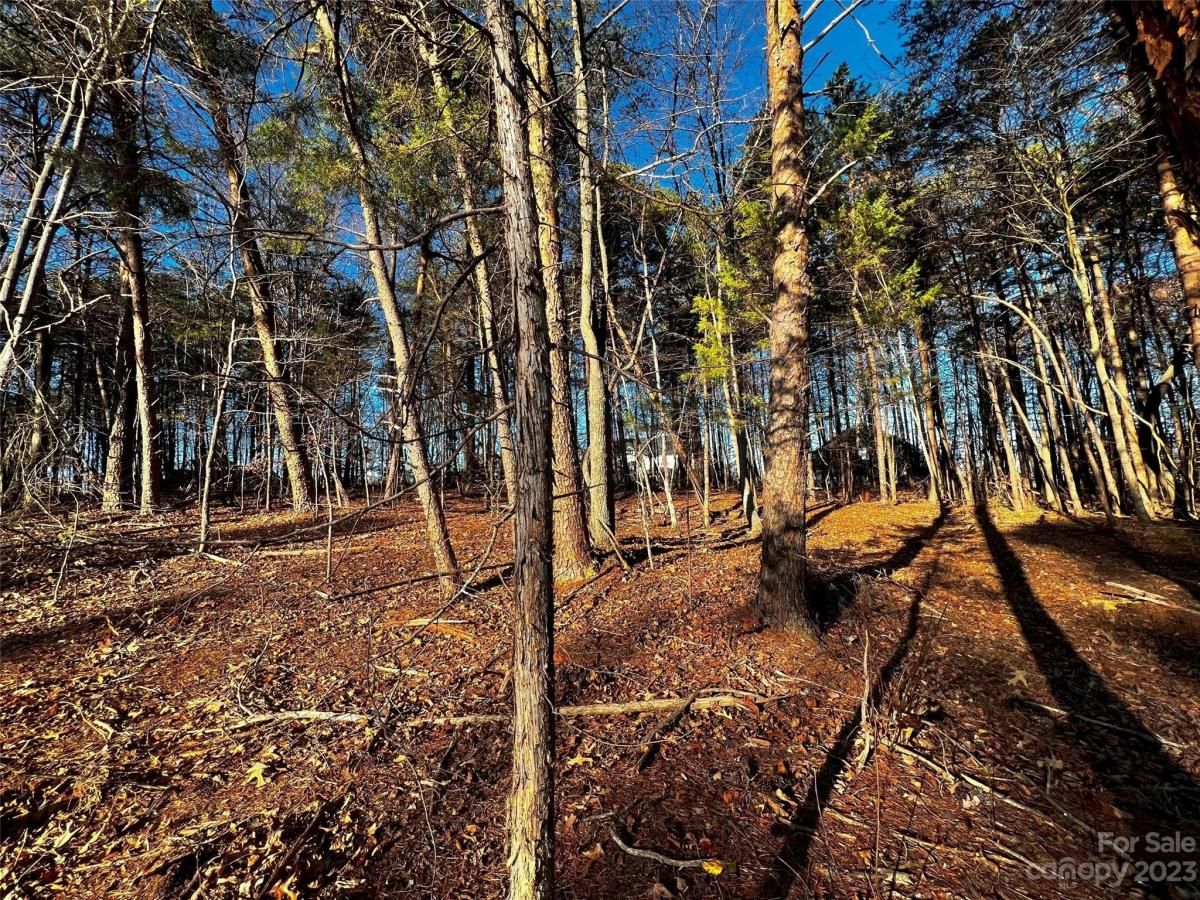 MLS #CAR4101848 image #3