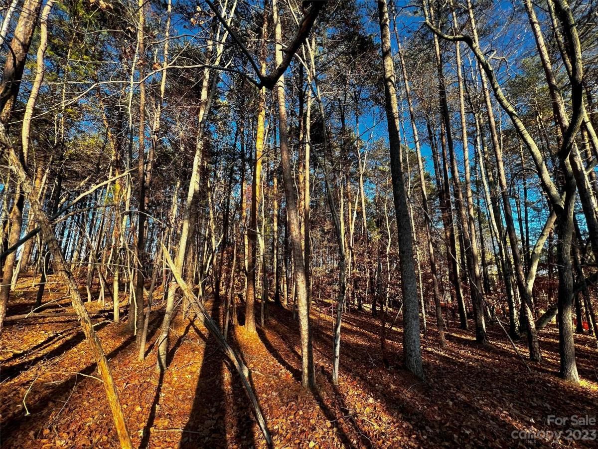 MLS #CAR4101848 image #4