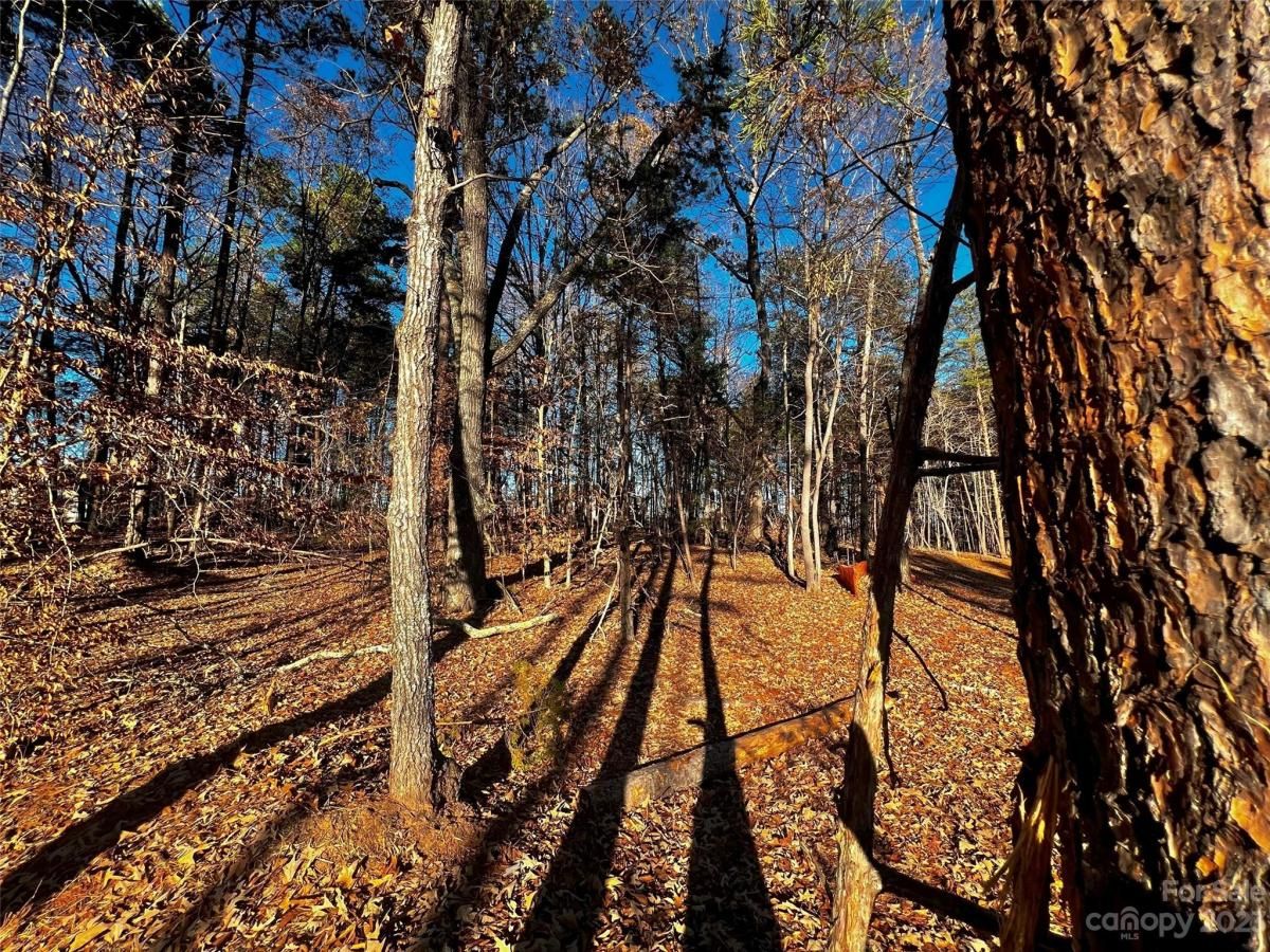 MLS #CAR4101851 image #1