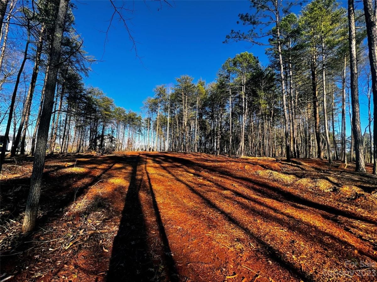 MLS #CAR4101865 image #1