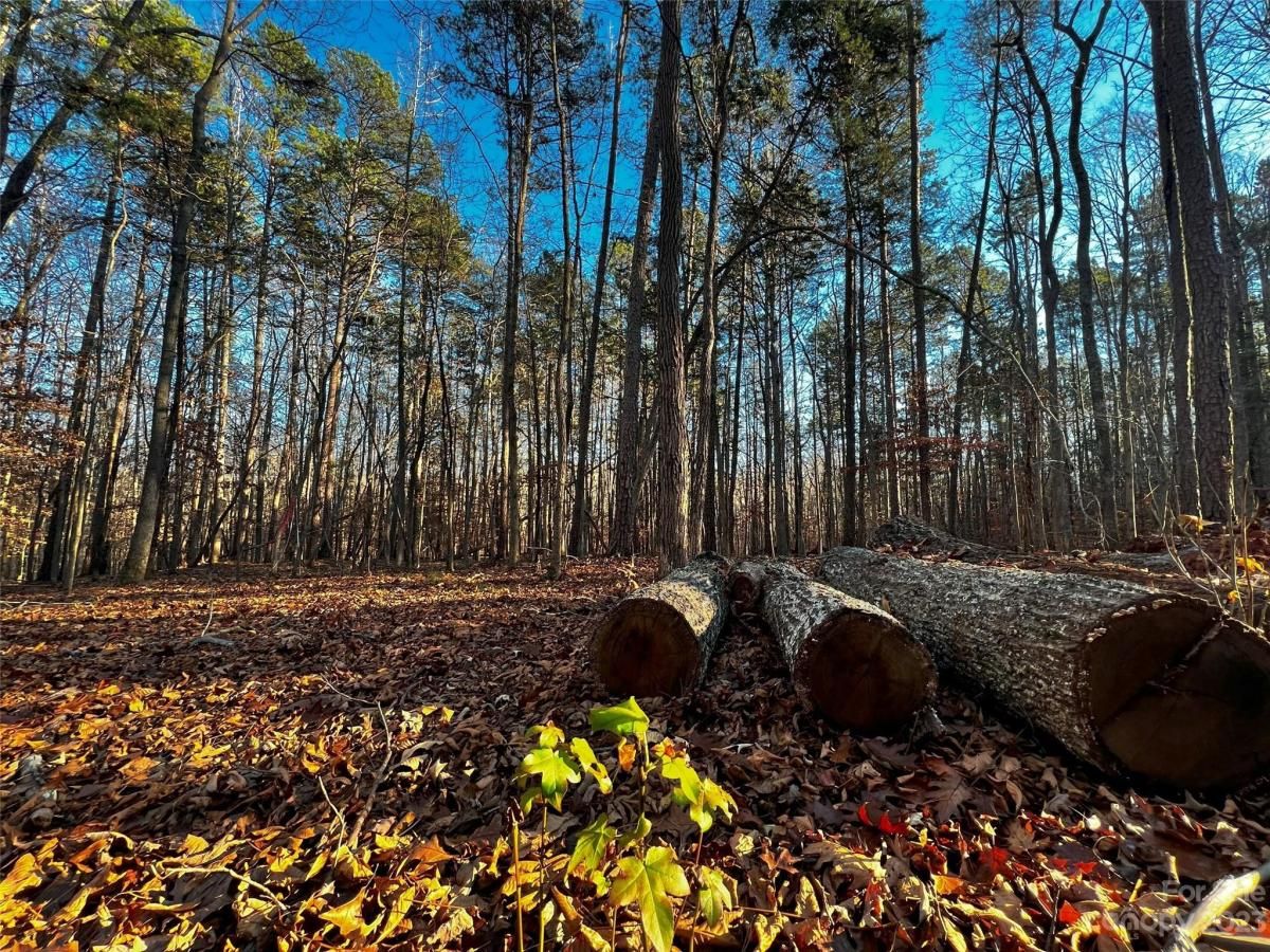 MLS #CAR4101878 image #3