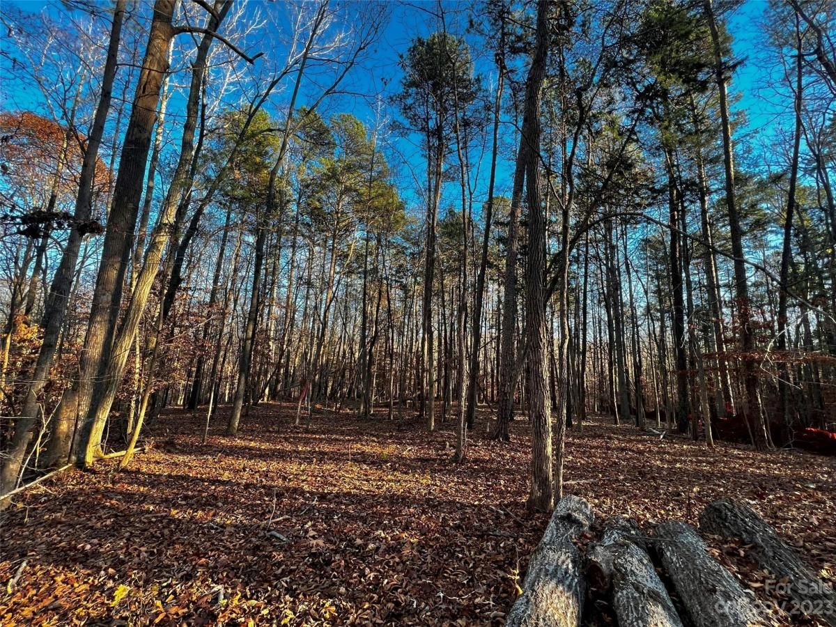 MLS #CAR4101878 image #4