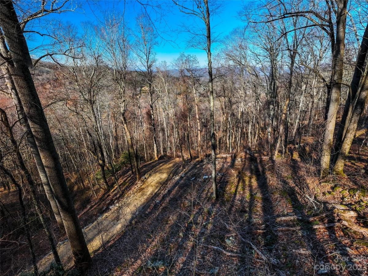 MLS #CAR4102242 image #1