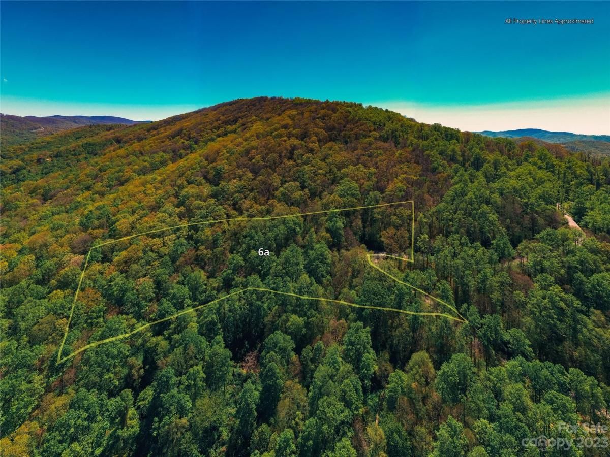 MLS #CAR4102242 image #13