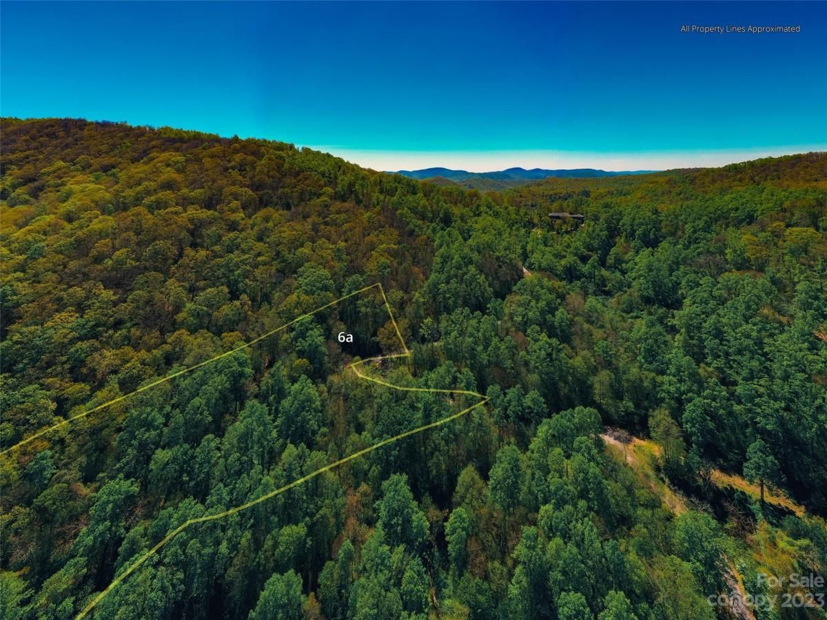 MLS #CAR4102242 image #14