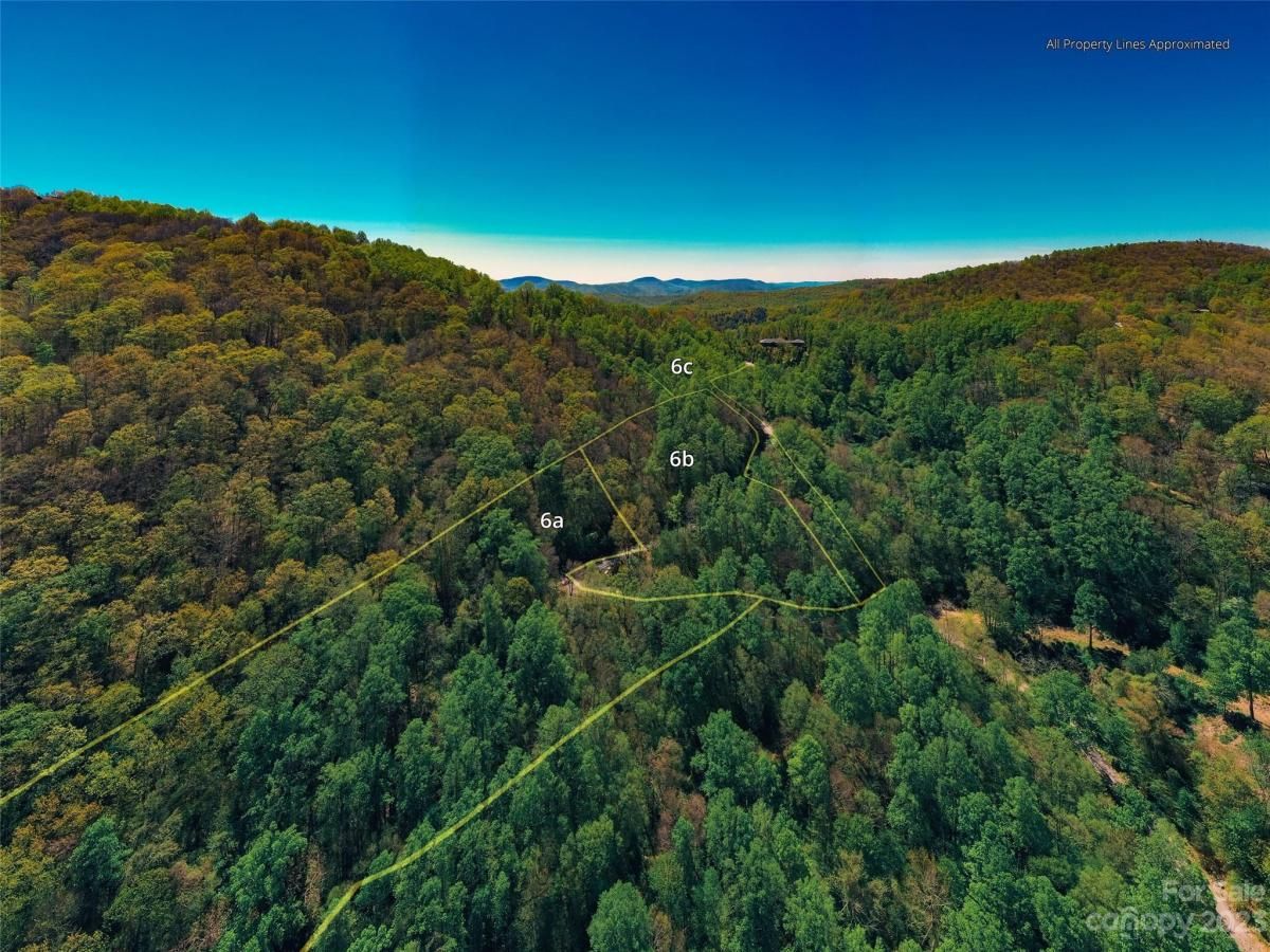 MLS #CAR4102242 image #17