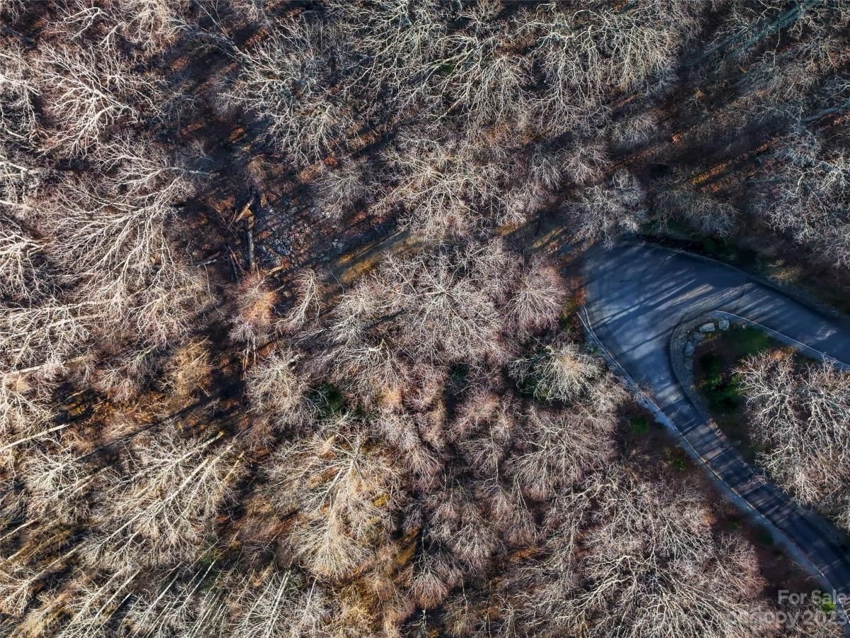 MLS #CAR4102242 image #2