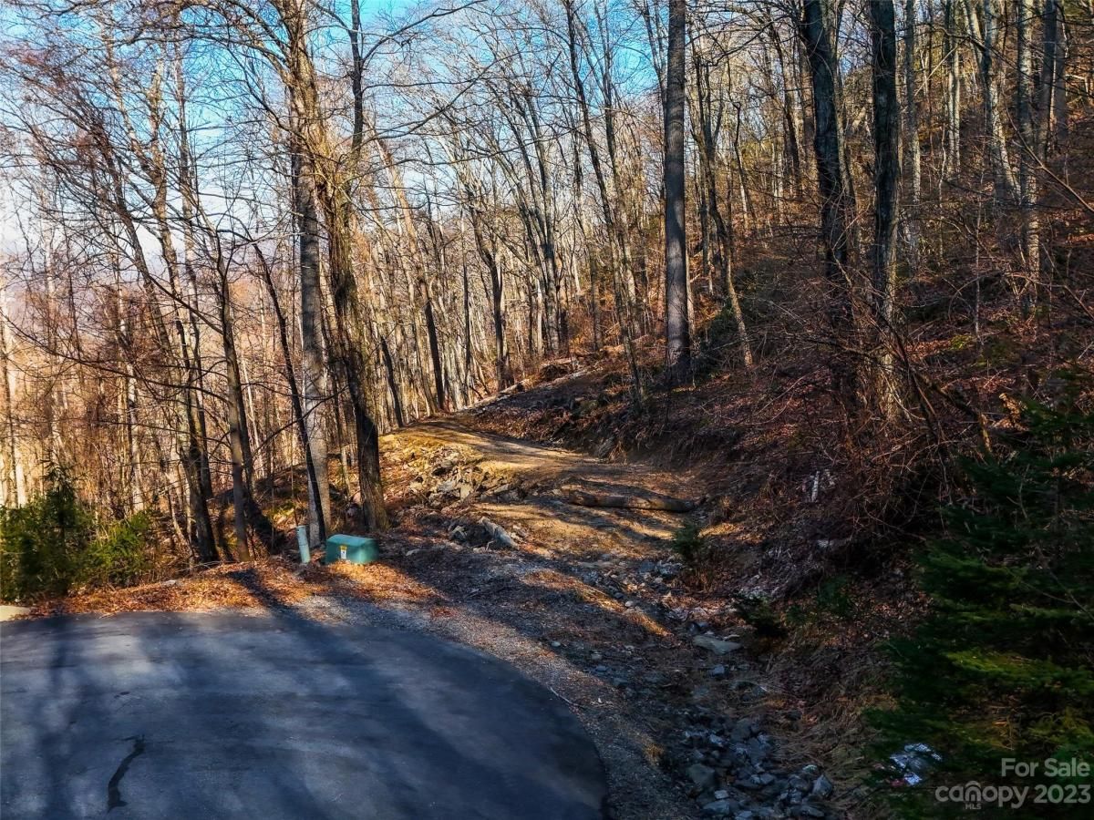 MLS #CAR4102242 image #5