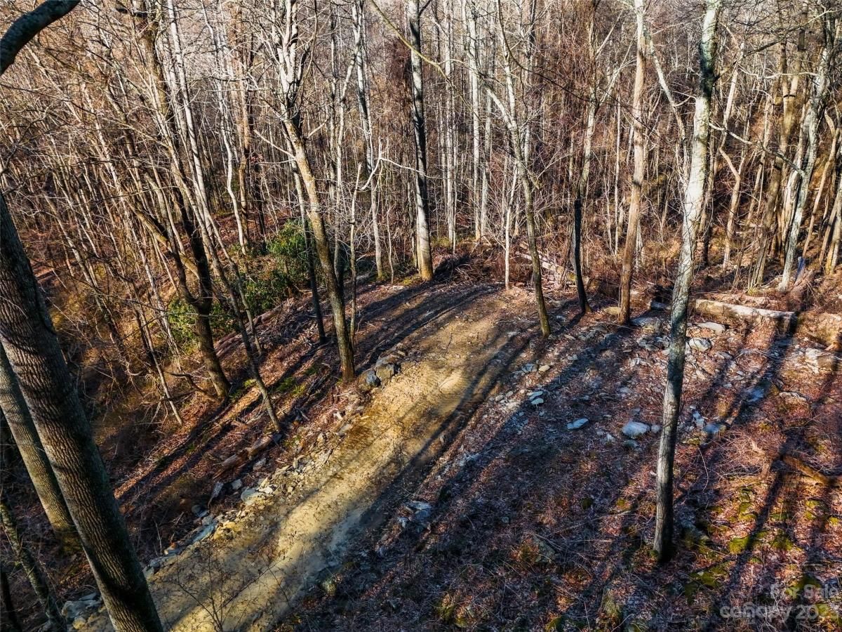 MLS #CAR4102242 image #6