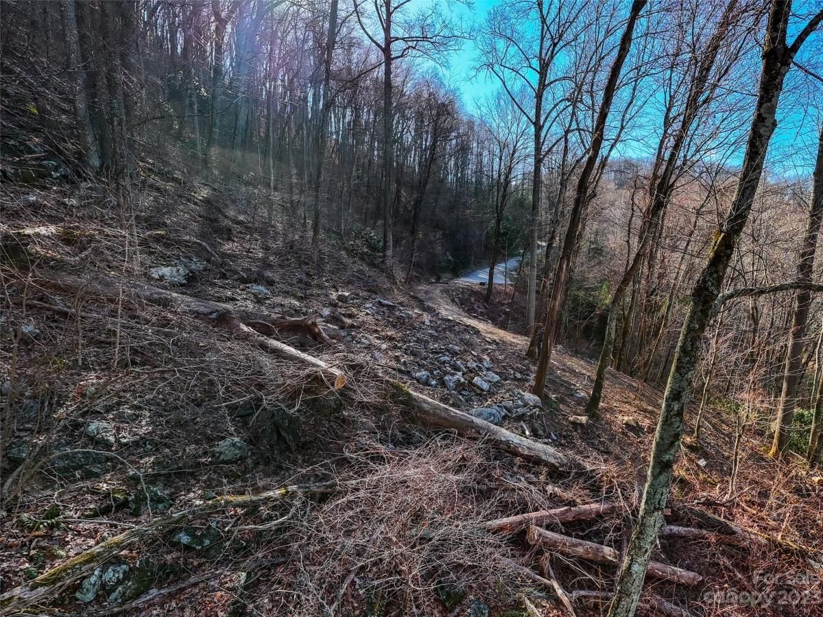 MLS #CAR4102242 image #7