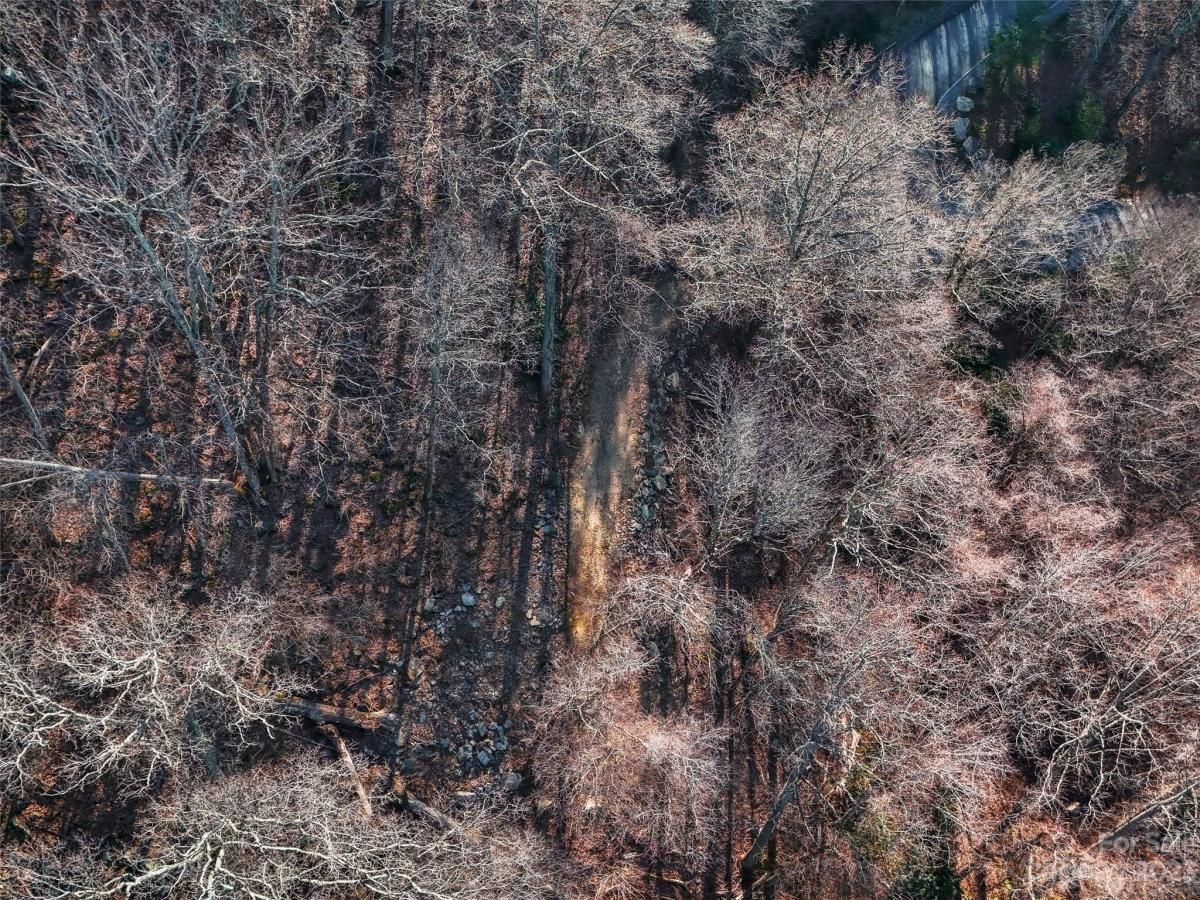 MLS #CAR4102242 image #8