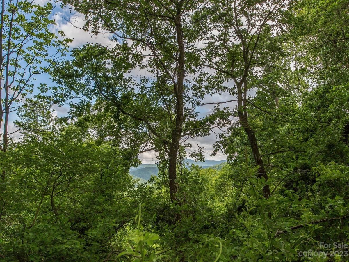 MLS #CAR4102275 image #12