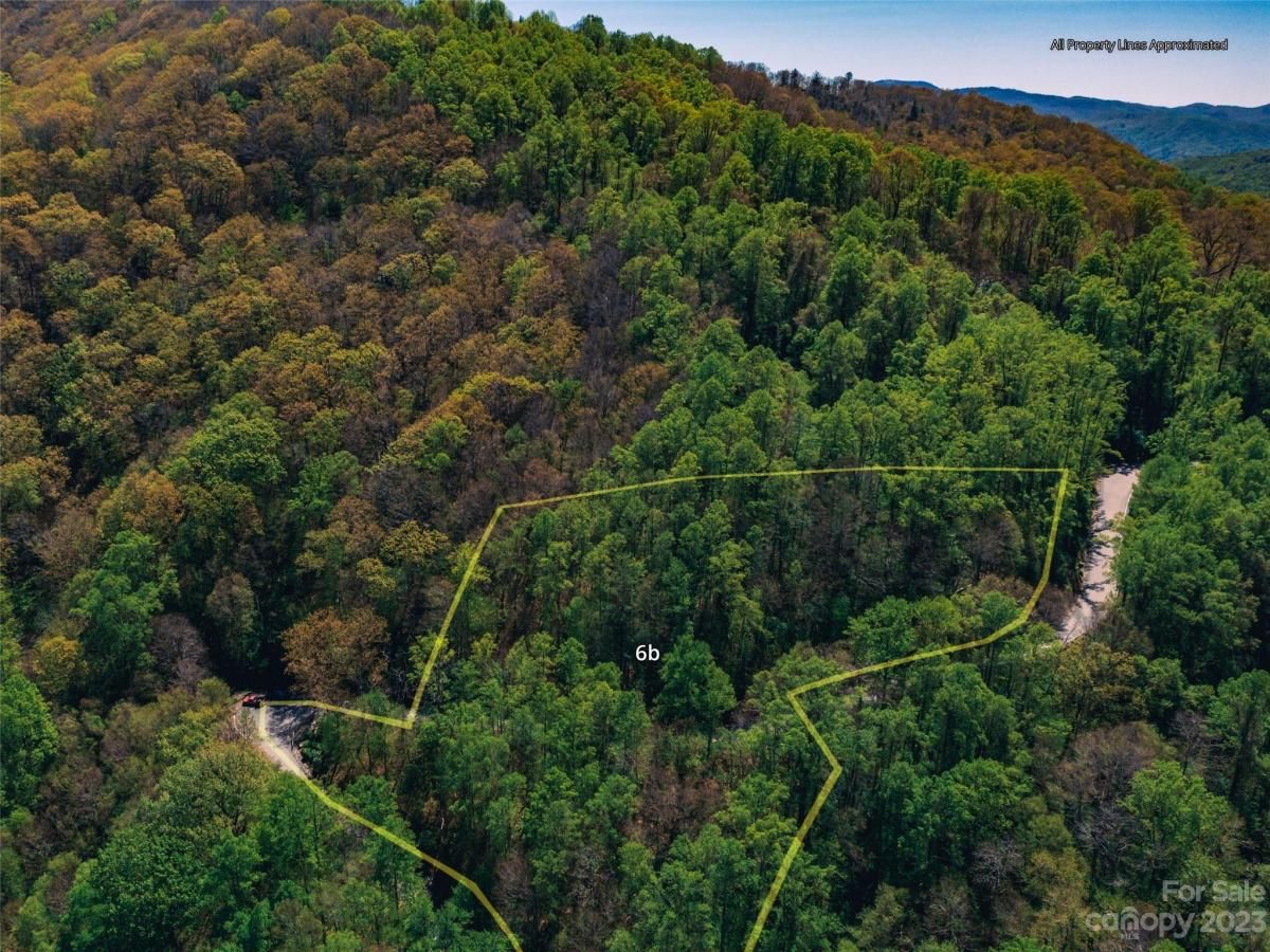 MLS #CAR4102275 image #17