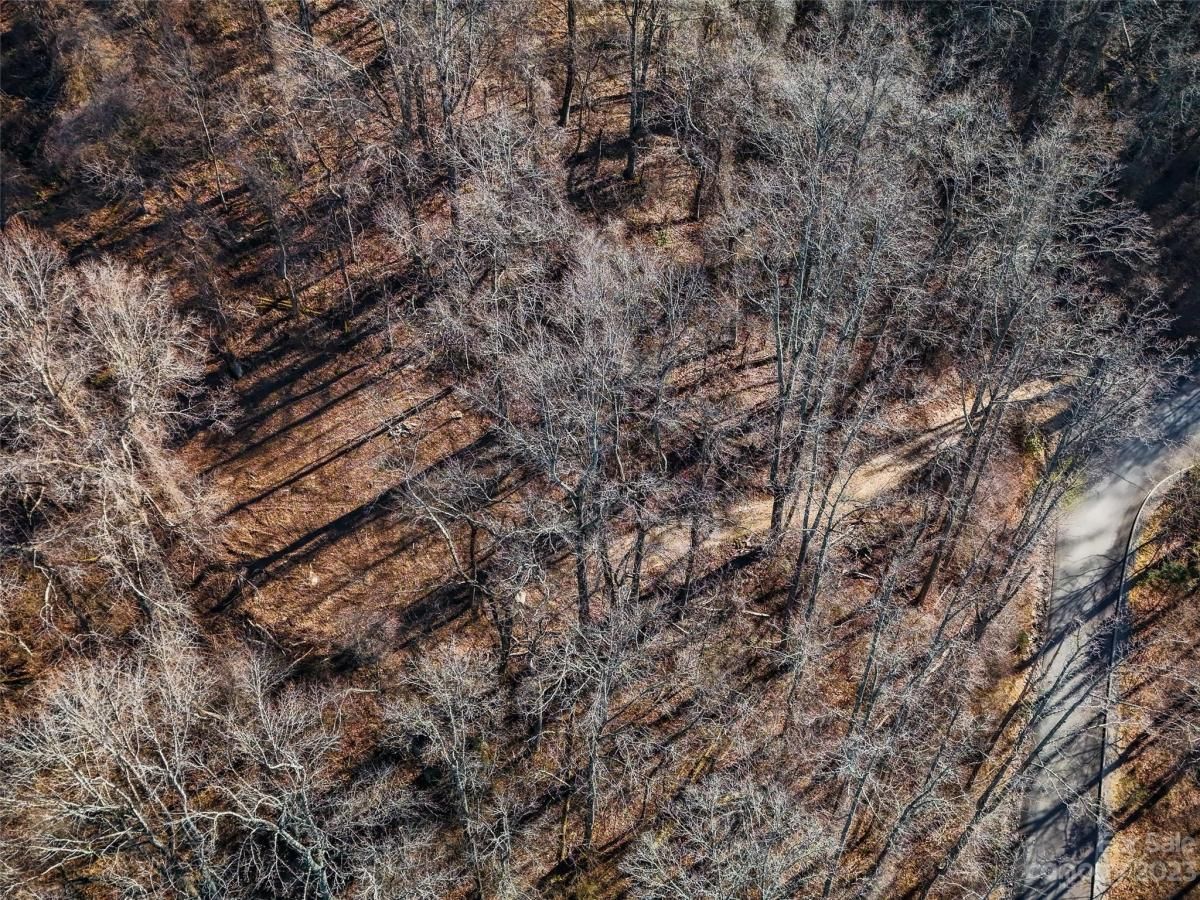 MLS #CAR4102275 image #2