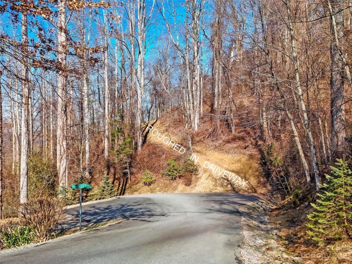 MLS #CAR4102275 image #5