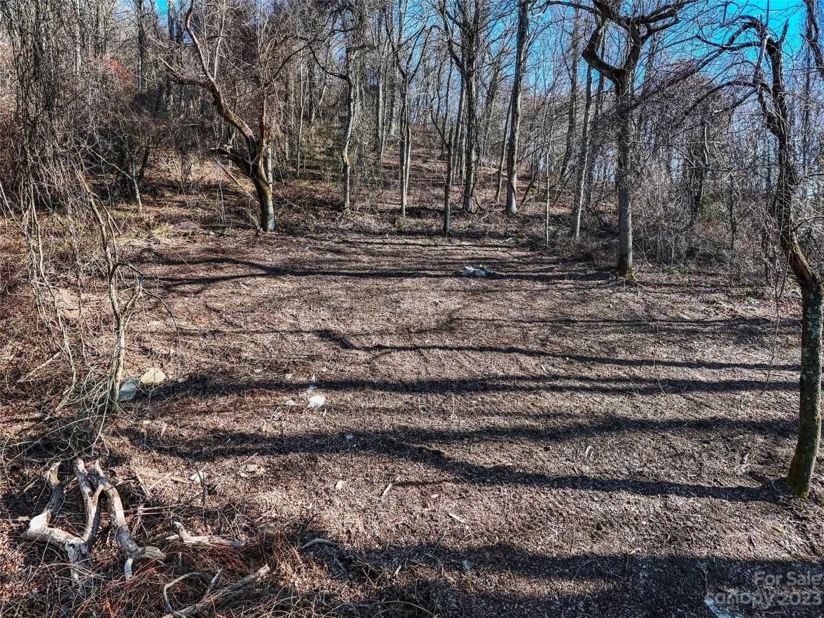 MLS #CAR4102275 image #6