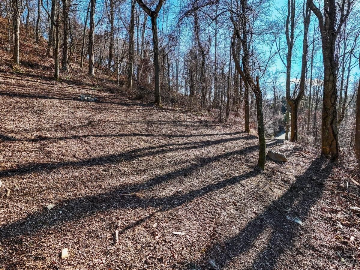 MLS #CAR4102275 image #7