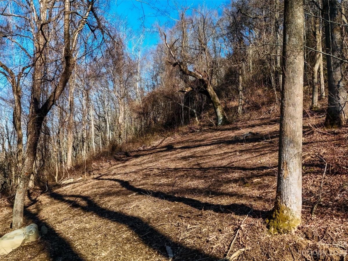 MLS #CAR4102275 image #8