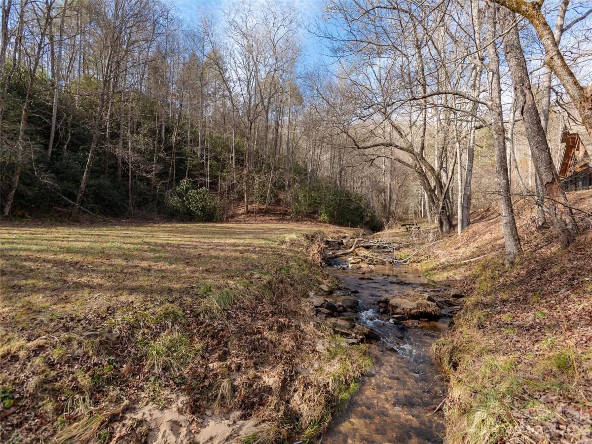 MLS #CAR4102746 image #11