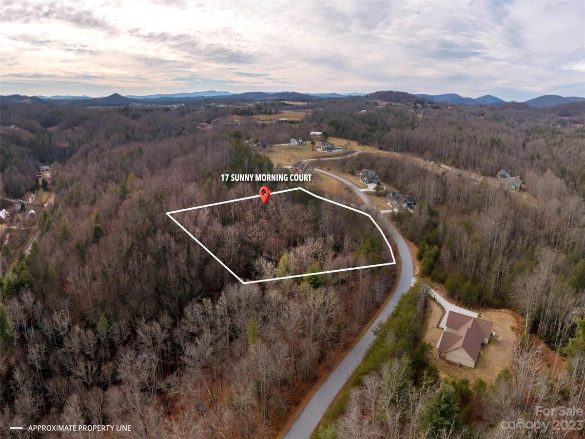 MLS #CAR4102746 image #2