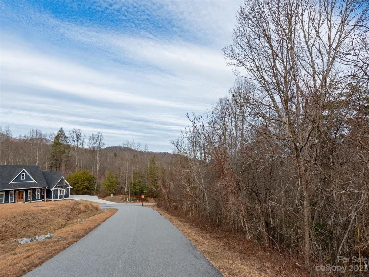 MLS #CAR4102746 image #3