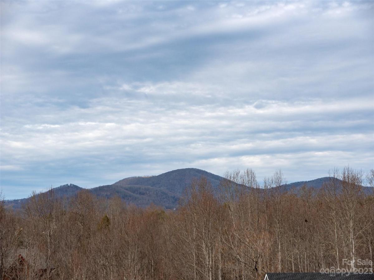 MLS #CAR4102746 image #4