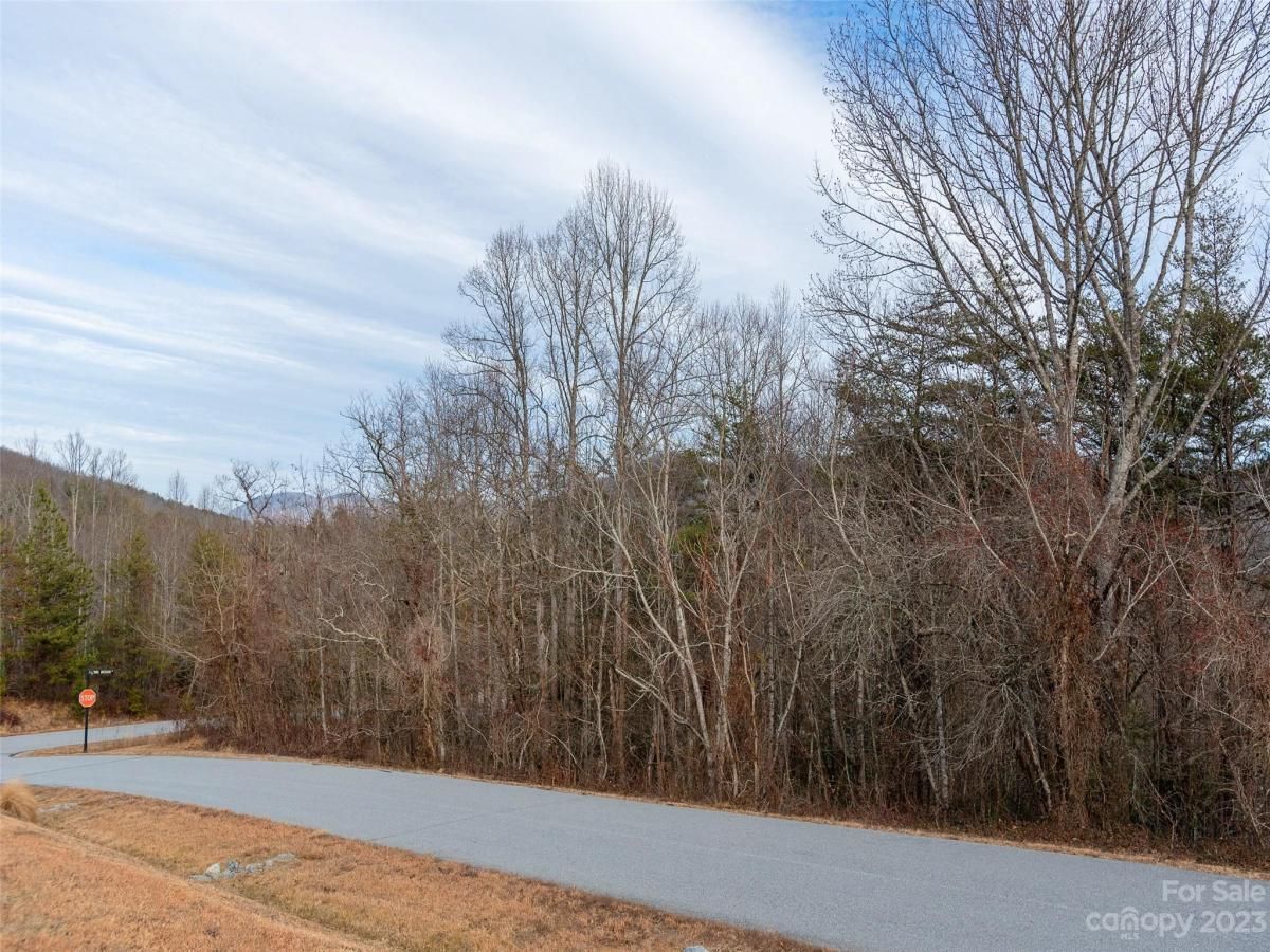 MLS #CAR4102746 image #5