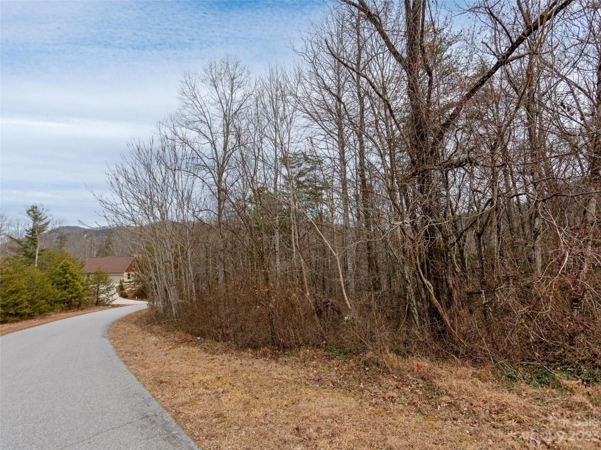 MLS #CAR4102746 image #6