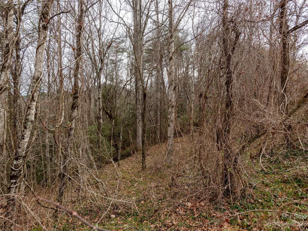 MLS #CAR4102746 image #7