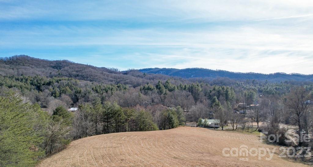 MLS #CAR4103301 image #28