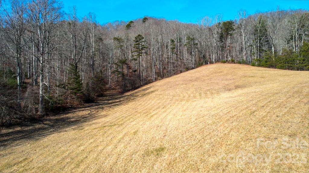 MLS #CAR4103301 image #30