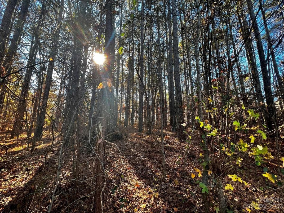 MLS #CAR4103829 image #3