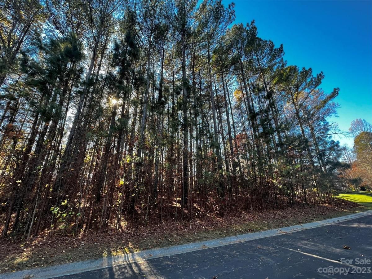 MLS #CAR4103829 image #4