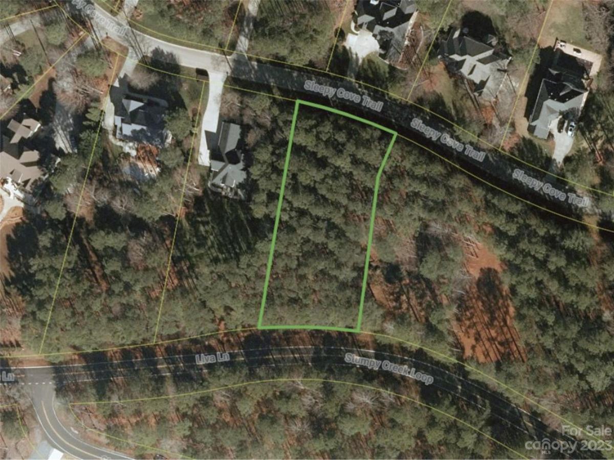 MLS #CAR4103829 image #5