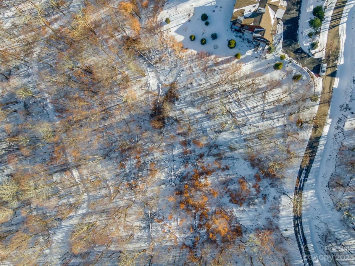 MLS #CAR4104820 image #3