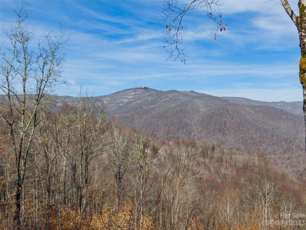 MLS #CAR4104820 image #4