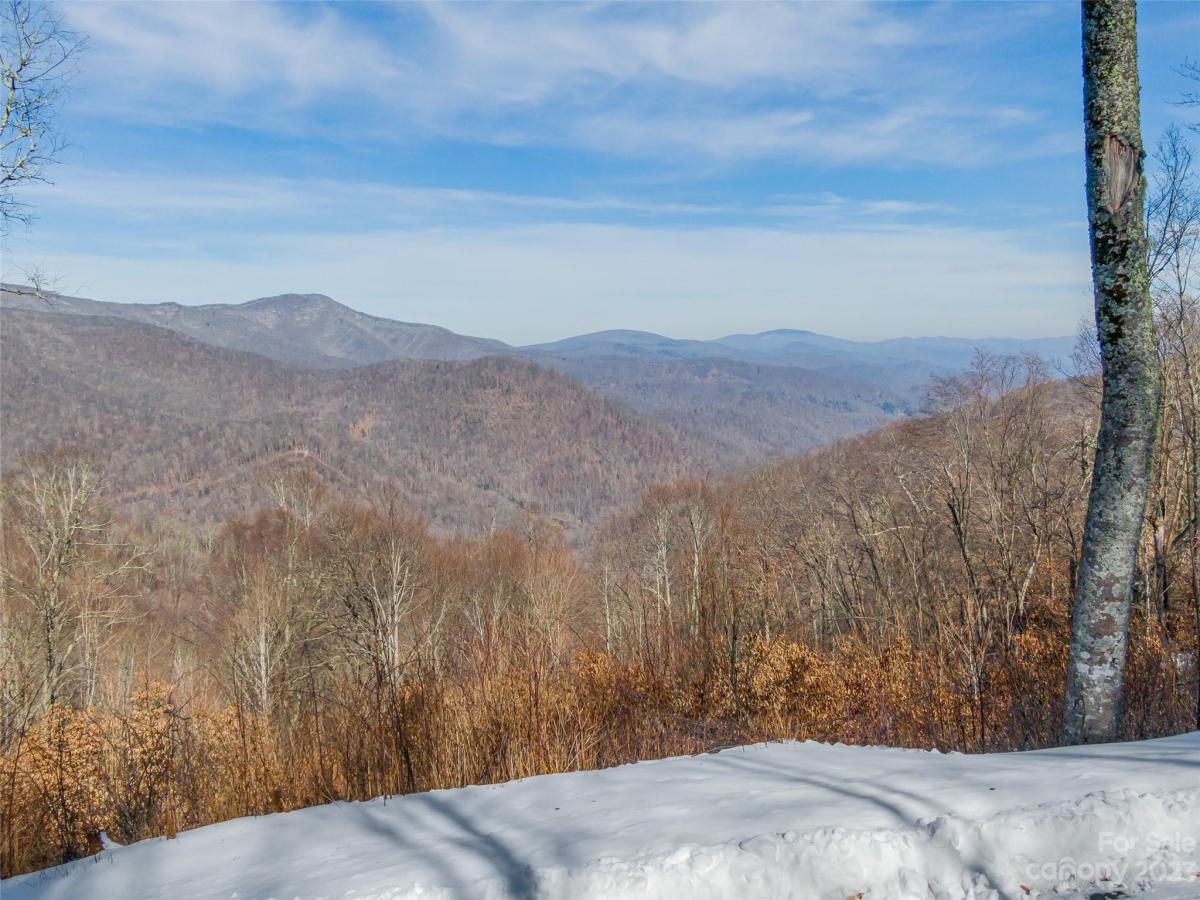 MLS #CAR4104820 image #5