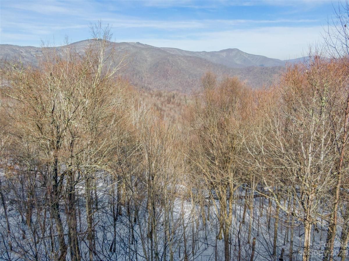 MLS #CAR4104825 image #6