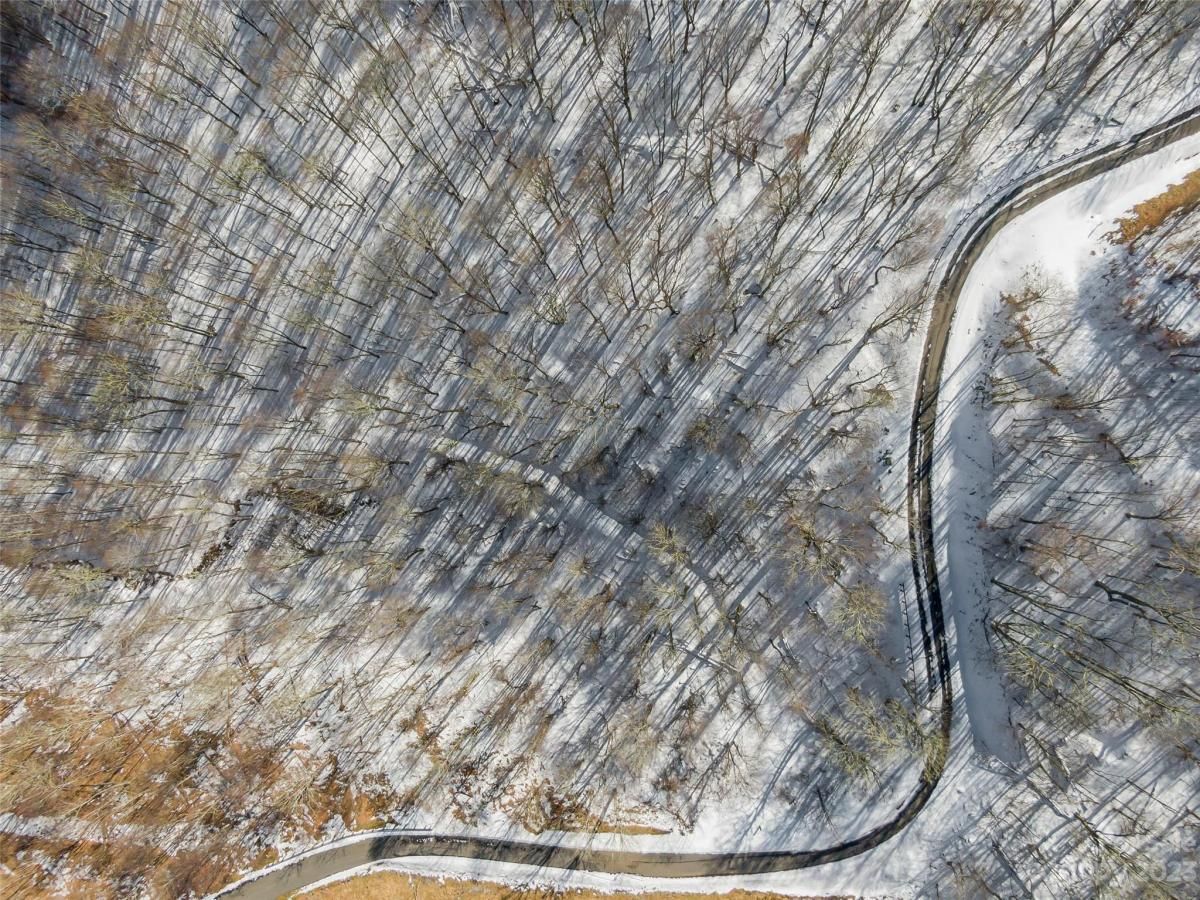 MLS #CAR4104828 image #2