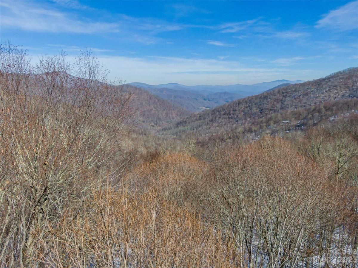 MLS #CAR4104828 image #5