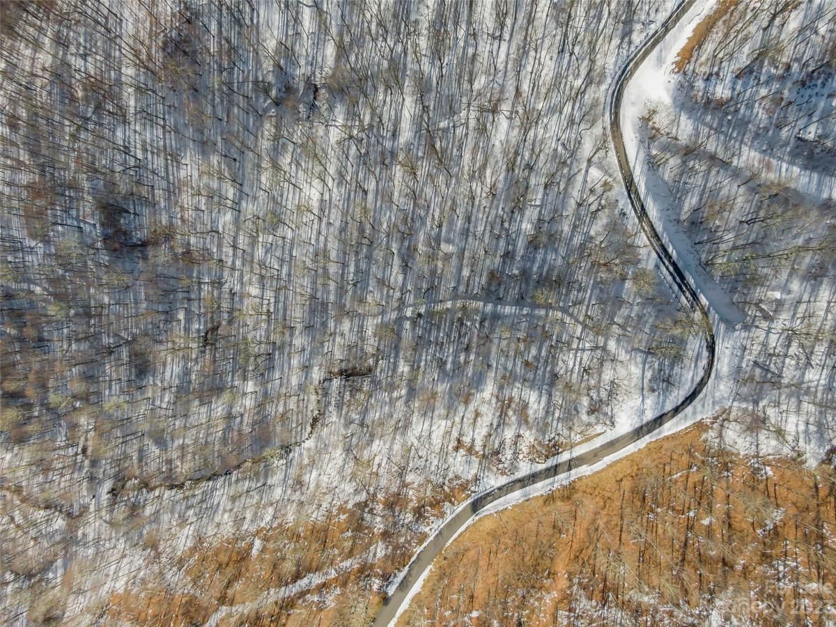 MLS #CAR4104830 image #1