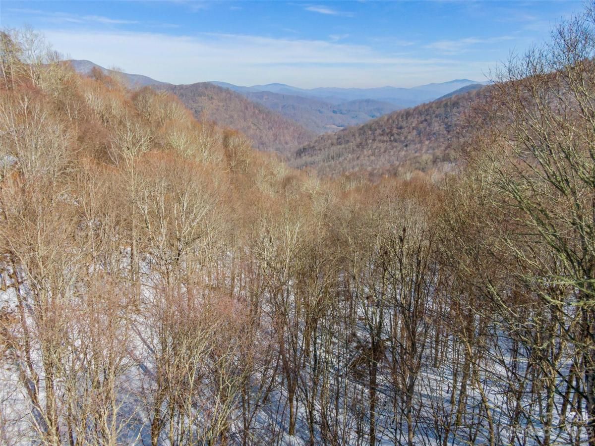 MLS #CAR4104830 image #5