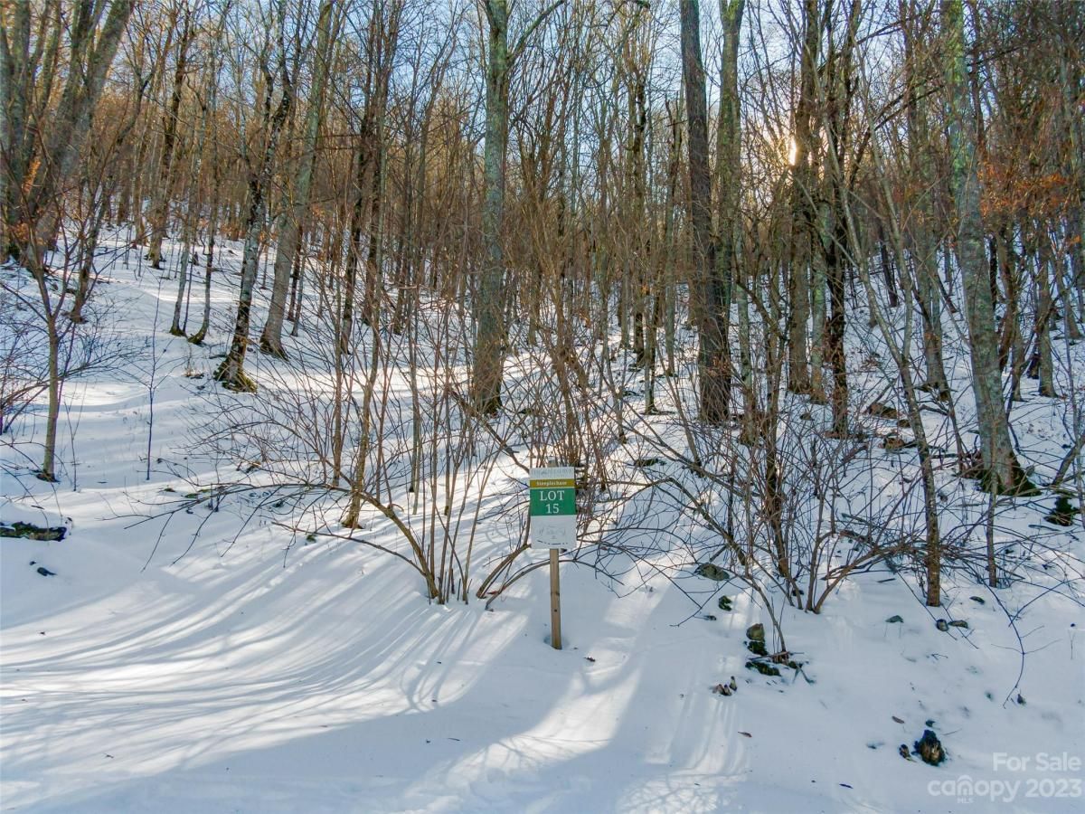 MLS #CAR4104841 image #0