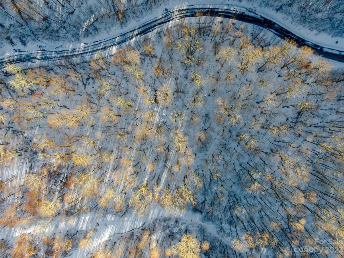 MLS #CAR4104841 image #1