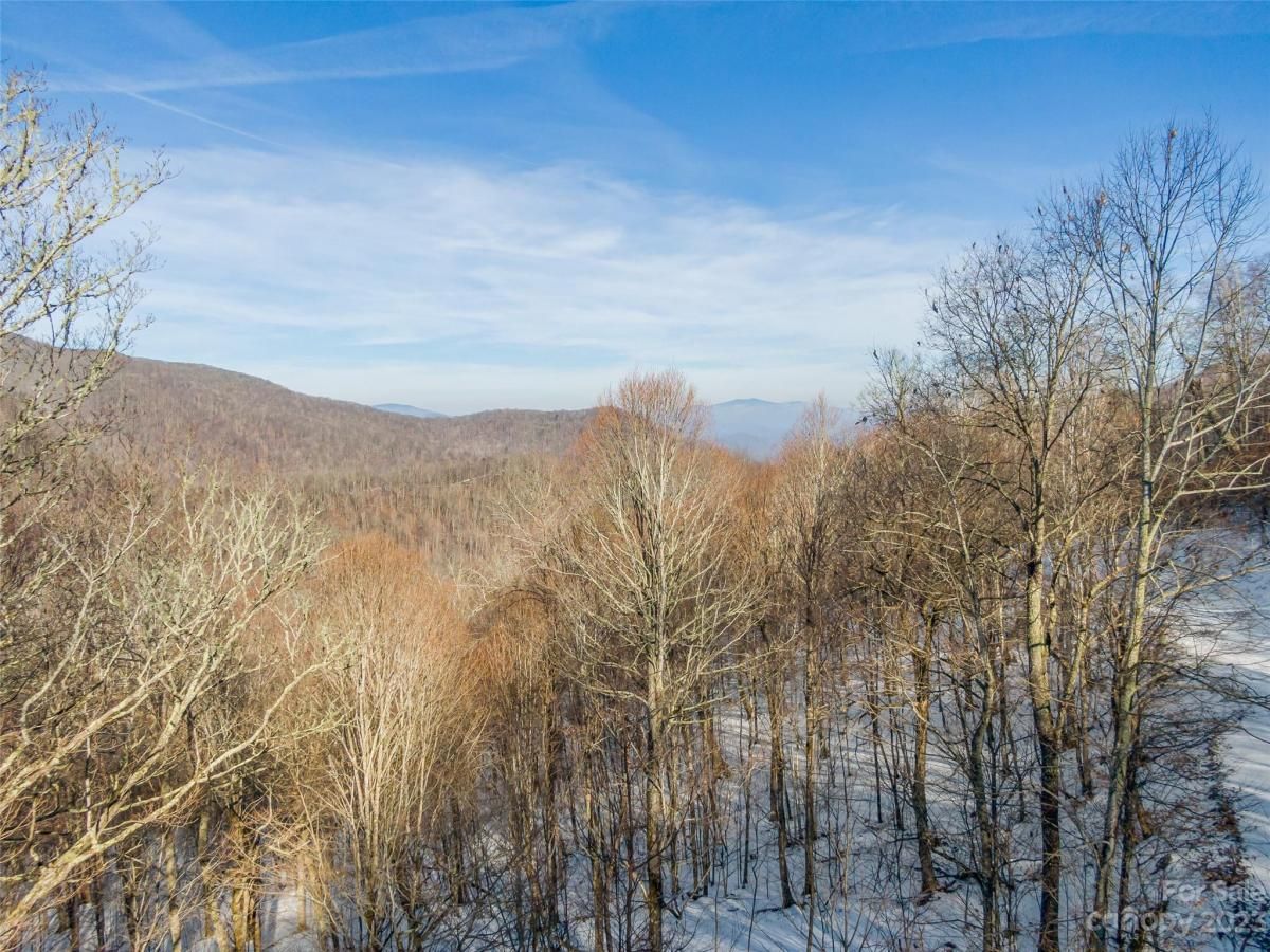 MLS #CAR4104841 image #7