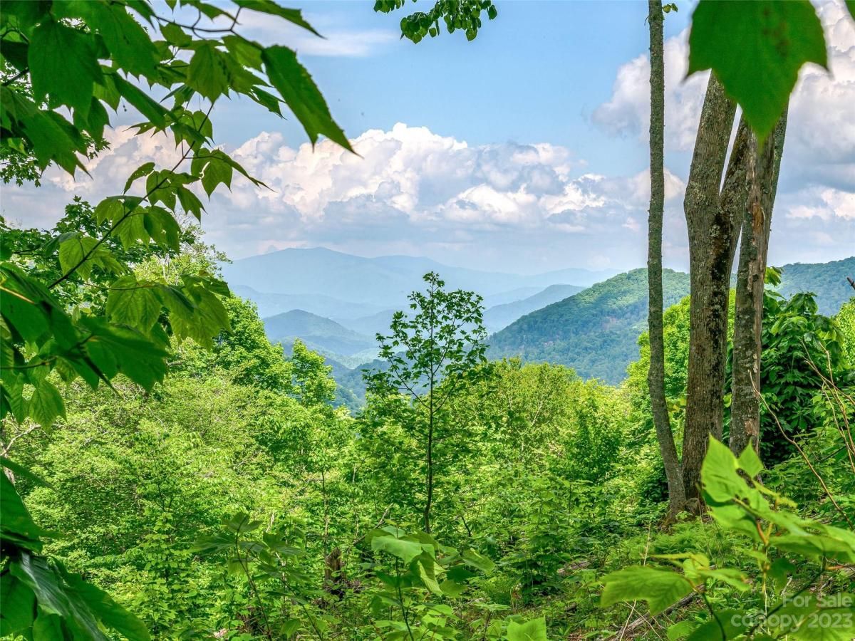 MLS #CAR4104848 image #10