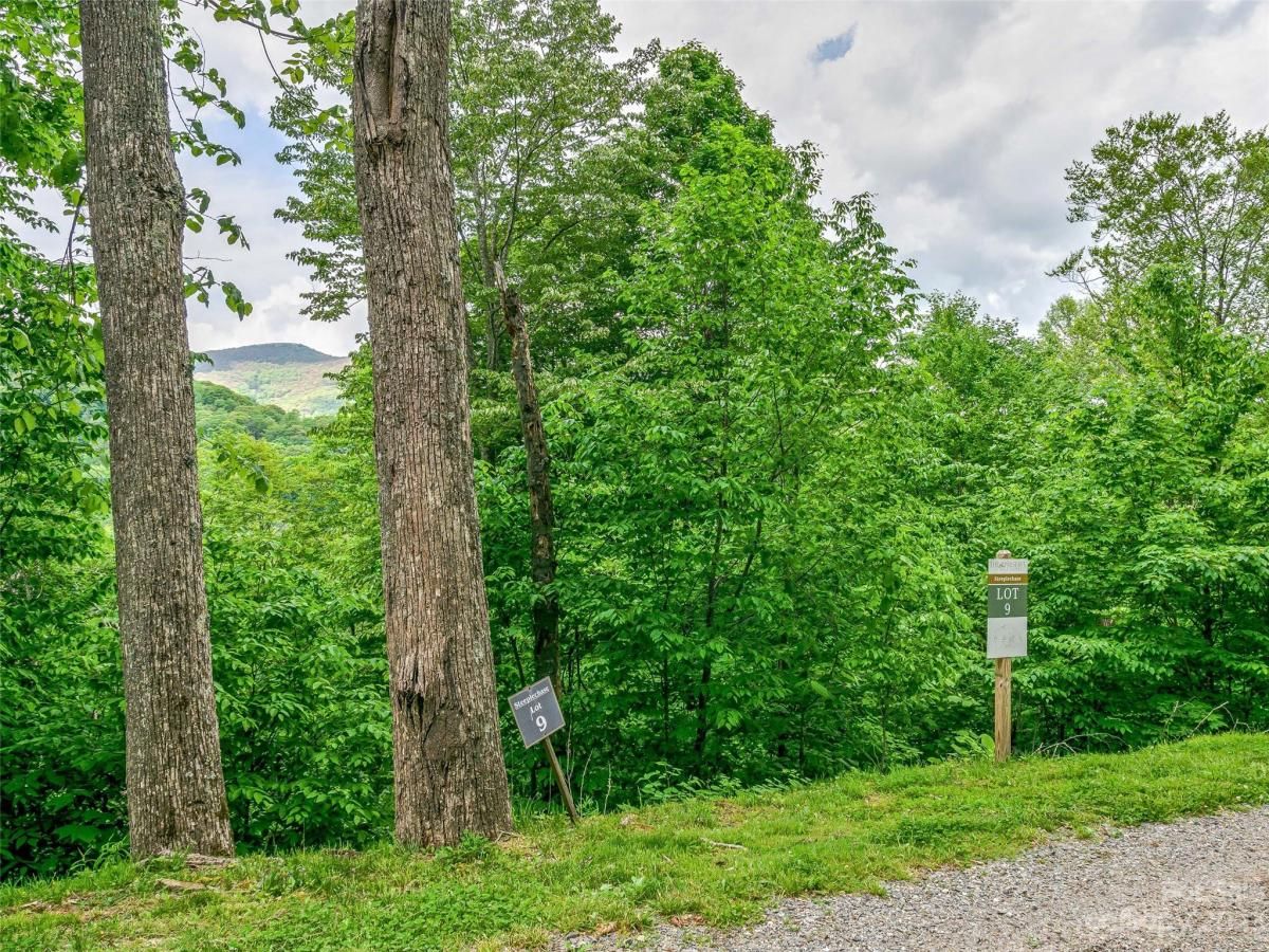 MLS #CAR4104848 image #11