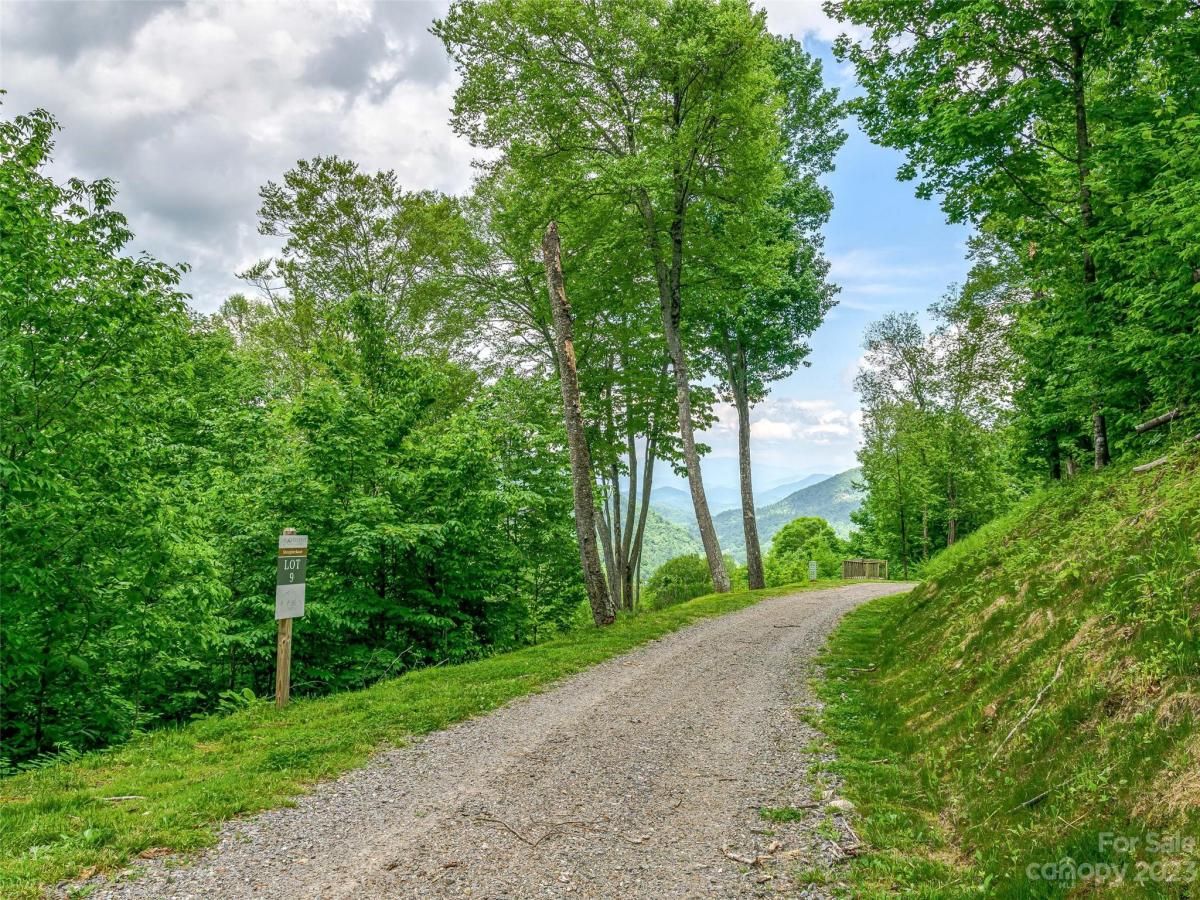 MLS #CAR4104848 image #12