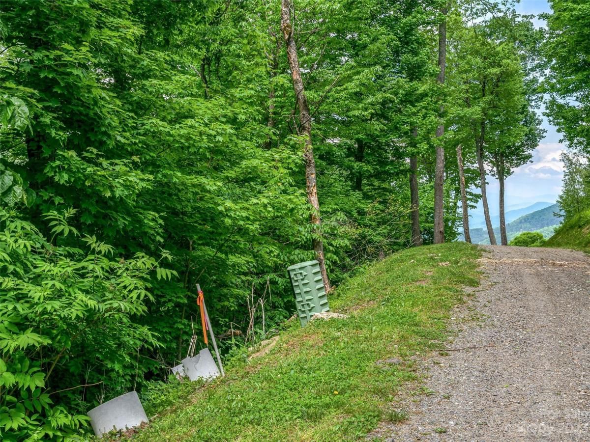 MLS #CAR4104848 image #13