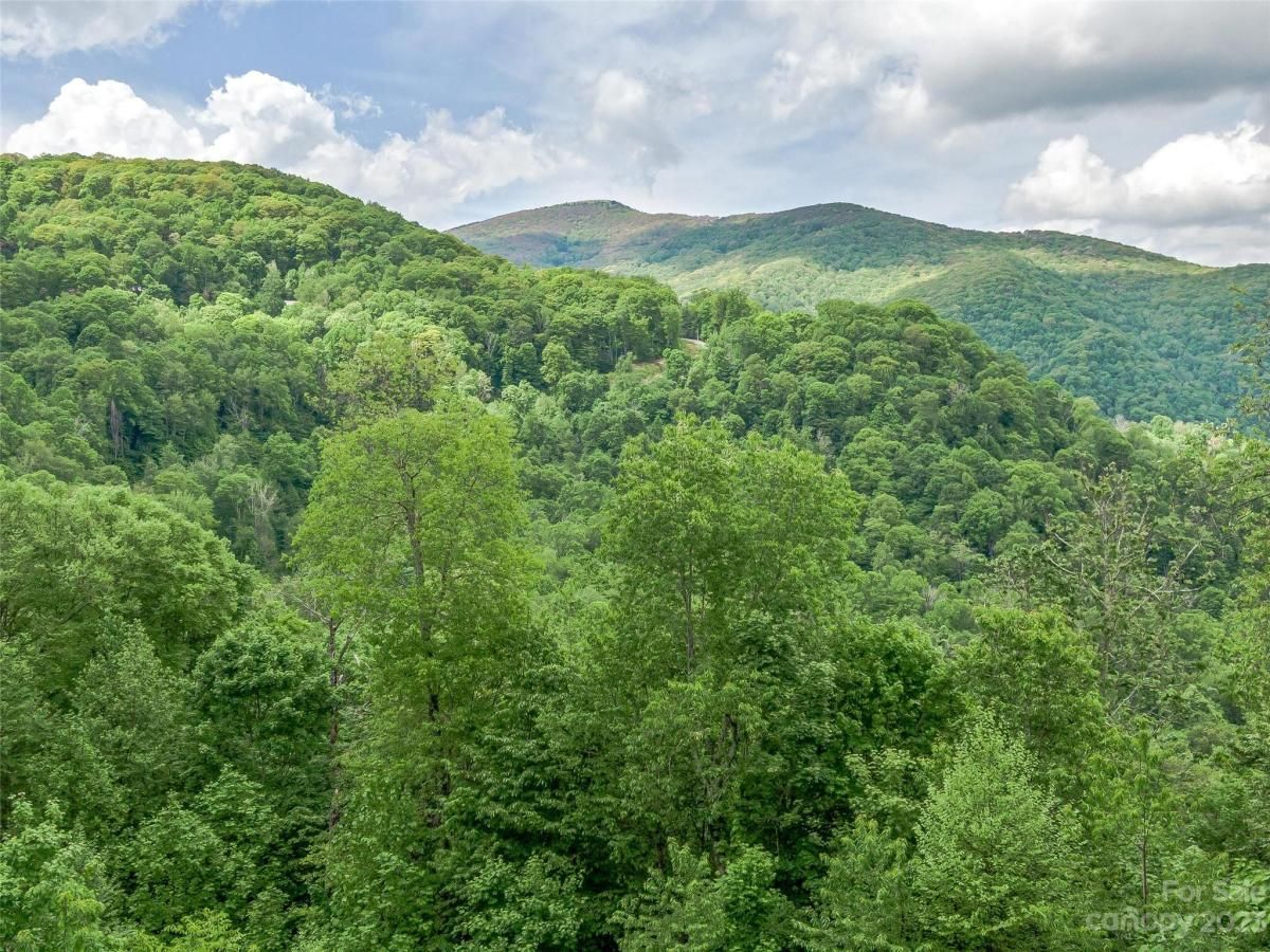 MLS #CAR4104848 image #21